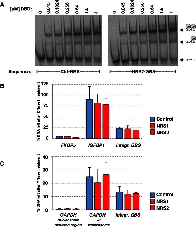 https://cdn.ncbi.nlm.nih.gov/pmc/blobs/a809/5291246/7d44759ccac3/gkw203fig5.jpg