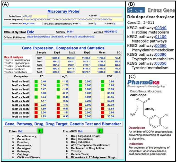 https://cdn.ncbi.nlm.nih.gov/pmc/blobs/a80c/3076503/1575d8ba9c53/ijbsv07p0308g04.jpg