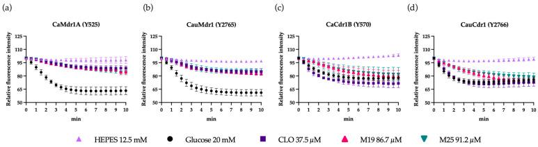 https://cdn.ncbi.nlm.nih.gov/pmc/blobs/a80d/10303049/42392c727717/jof-09-00663-g001.jpg
