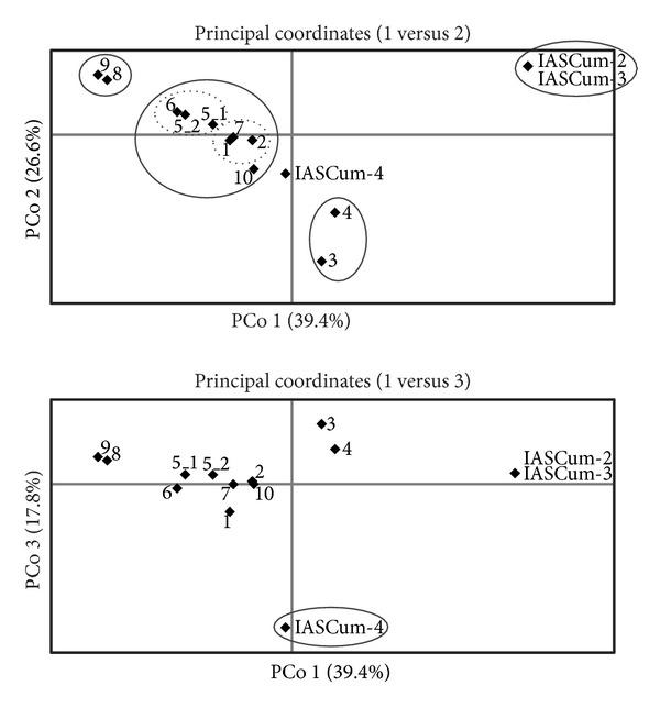 https://cdn.ncbi.nlm.nih.gov/pmc/blobs/a80d/4131075/e6cda41016d5/TSWJ2014-150432.003.jpg