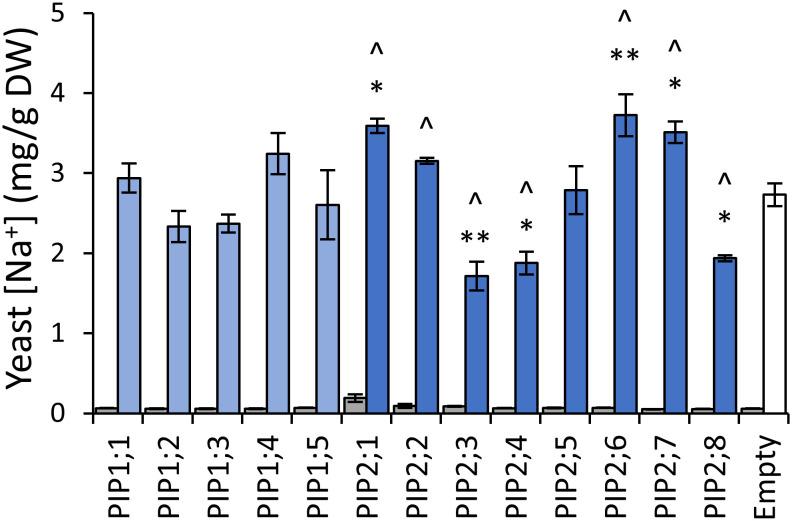 https://cdn.ncbi.nlm.nih.gov/pmc/blobs/a80d/9907170/2a5935a698e4/fpls-14-1078220-g008.jpg