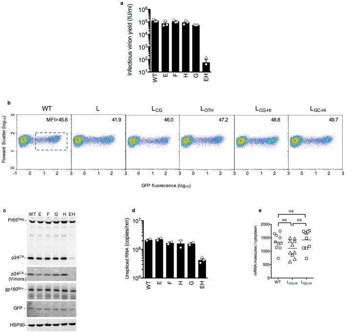 https://cdn.ncbi.nlm.nih.gov/pmc/blobs/a80e/6592701/5068d90da4fb/nihms903235f6.jpg