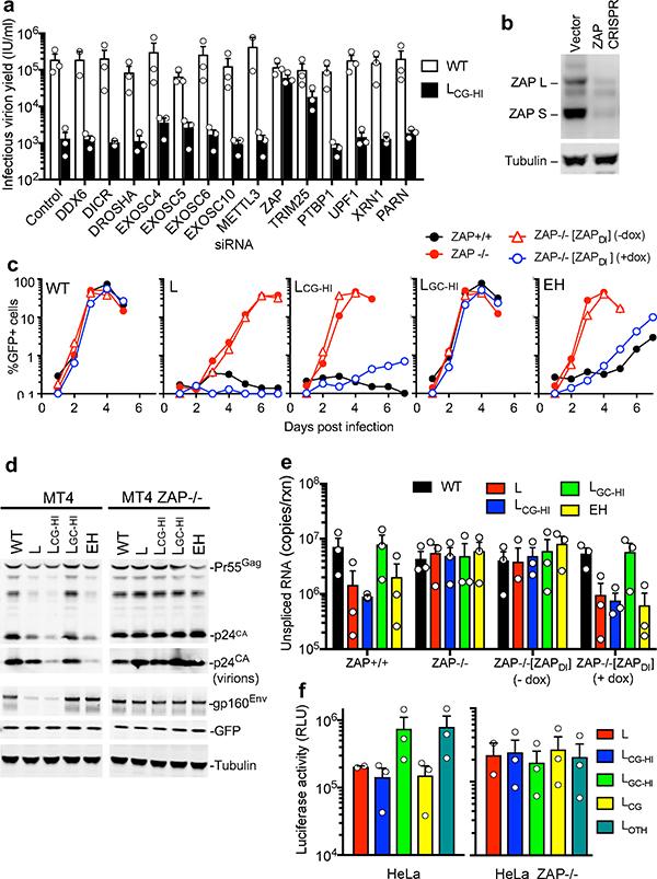 https://cdn.ncbi.nlm.nih.gov/pmc/blobs/a80e/6592701/a4a205b0ffc9/nihms903235f3.jpg