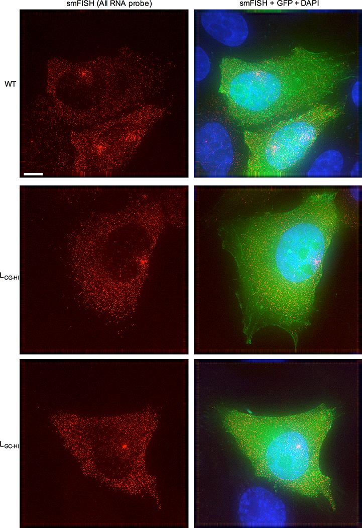 https://cdn.ncbi.nlm.nih.gov/pmc/blobs/a80e/6592701/e084cd0be338/nihms903235f8.jpg