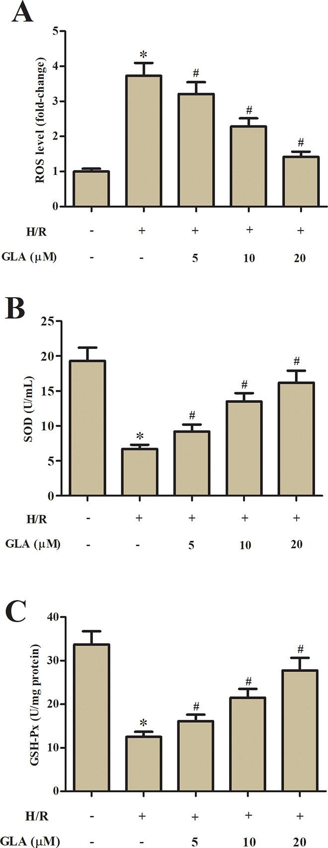 https://cdn.ncbi.nlm.nih.gov/pmc/blobs/a80e/7784558/80575e909eda/10.1177_0963689720967672-fig2.jpg
