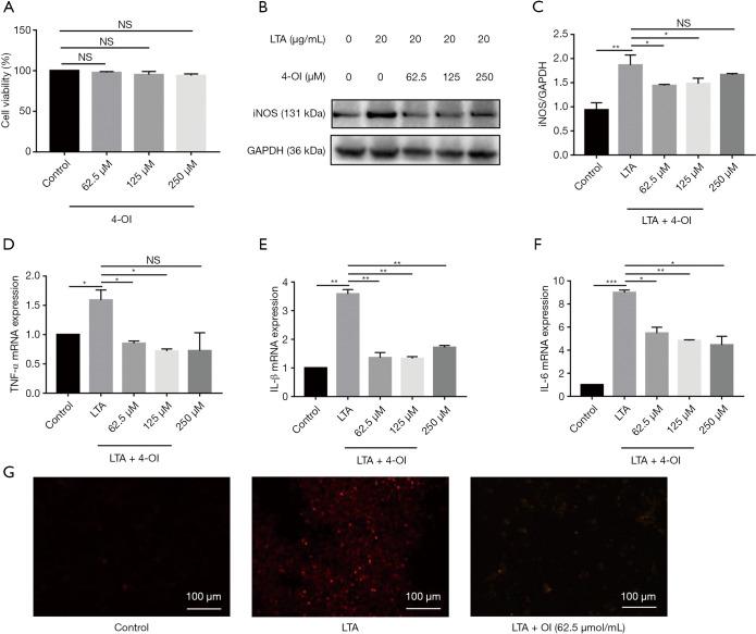 https://cdn.ncbi.nlm.nih.gov/pmc/blobs/a80e/8106008/1dfce8830d18/atm-09-08-712-f3.jpg