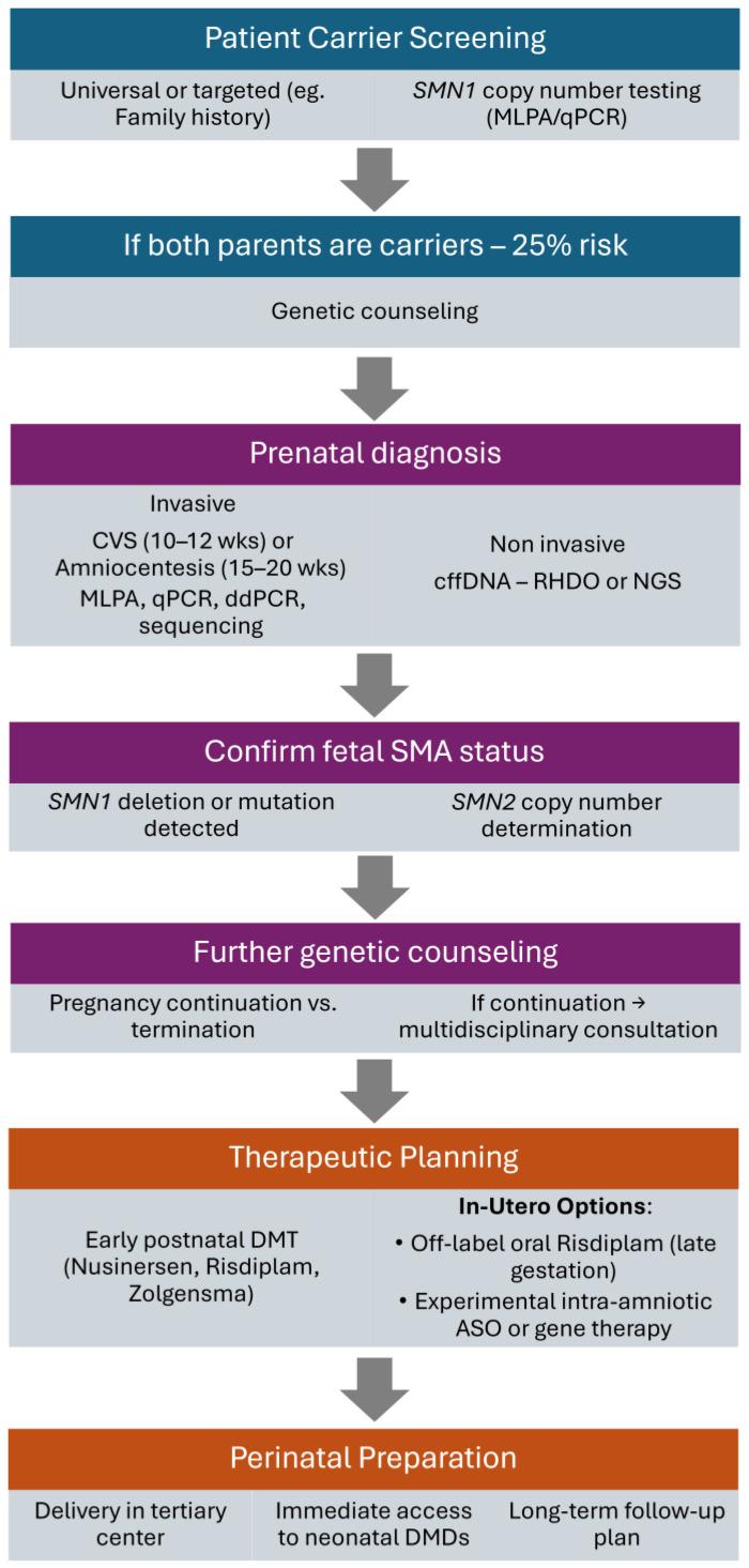 https://cdn.ncbi.nlm.nih.gov/pmc/blobs/a80f/12383597/32468f744364/biomedicines-13-01796-g001.jpg