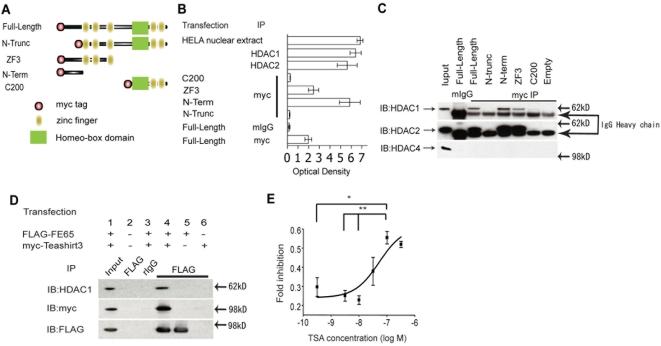 https://cdn.ncbi.nlm.nih.gov/pmc/blobs/a811/2660419/6aedfbacac21/pone.0005071.g005.jpg