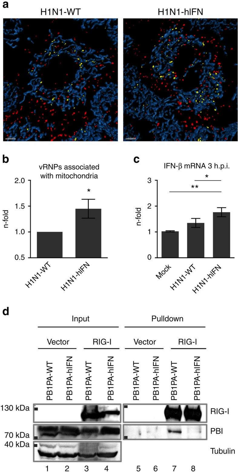 https://cdn.ncbi.nlm.nih.gov/pmc/blobs/a812/4268707/cb27f9611127/ncomms6645-f3.jpg