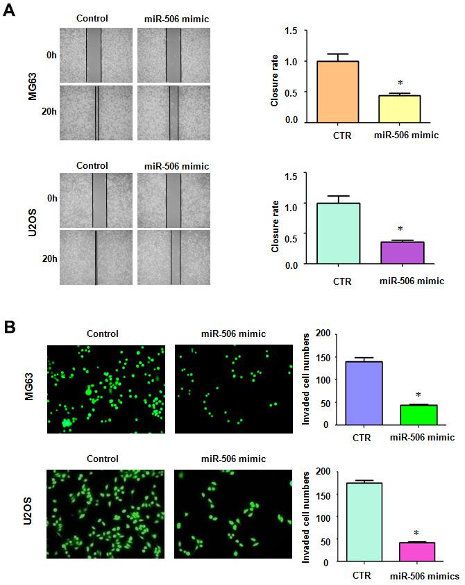 https://cdn.ncbi.nlm.nih.gov/pmc/blobs/a812/7993745/594c82a3ff53/aging-13-202530-g002.jpg