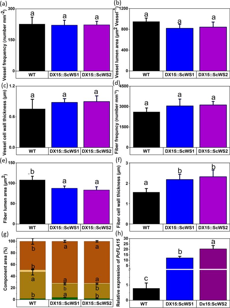 https://cdn.ncbi.nlm.nih.gov/pmc/blobs/a817/12182671/6330ba5b4b37/13068_2025_2667_Fig3_HTML.jpg