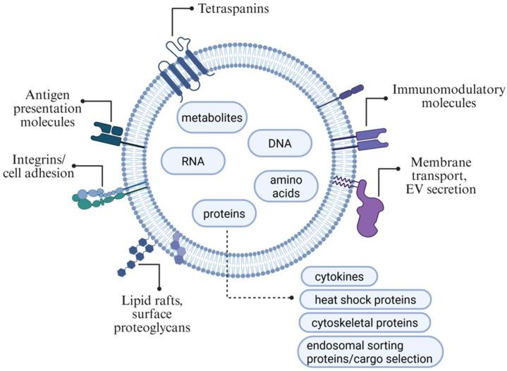 https://cdn.ncbi.nlm.nih.gov/pmc/blobs/a818/12347061/26a7963f18d3/jcm-14-05594-g001.jpg