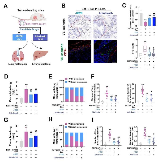 https://cdn.ncbi.nlm.nih.gov/pmc/blobs/a81c/10898123/4209143b7787/13046_2024_2991_Fig6_HTML.jpg