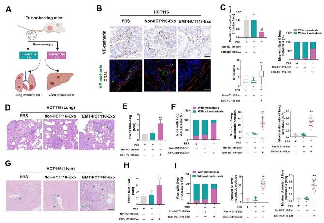 https://cdn.ncbi.nlm.nih.gov/pmc/blobs/a81c/10898123/446e815cfc5f/13046_2024_2991_Fig4_HTML.jpg