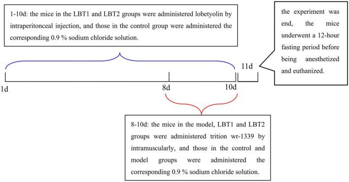 https://cdn.ncbi.nlm.nih.gov/pmc/blobs/a81c/12402901/174d1c90ba5c/fmicb-16-1625211-g001.jpg