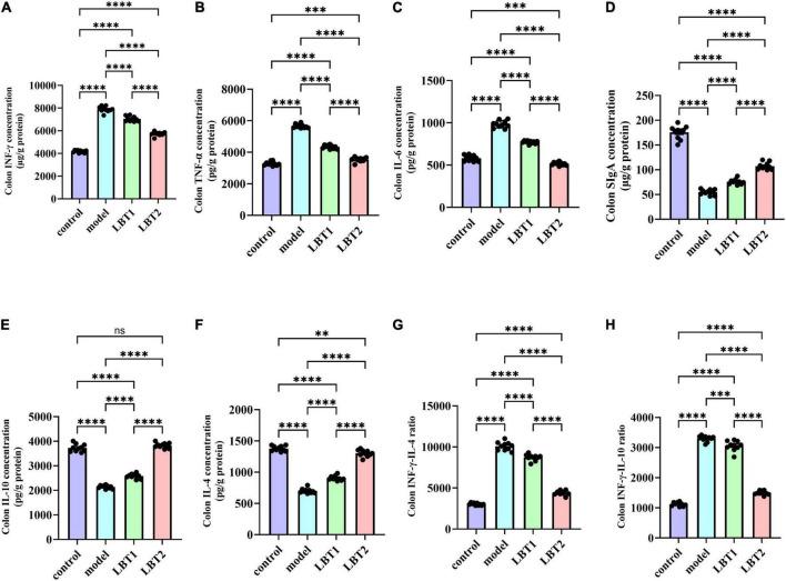https://cdn.ncbi.nlm.nih.gov/pmc/blobs/a81c/12402901/bcd329d00b08/fmicb-16-1625211-g006.jpg