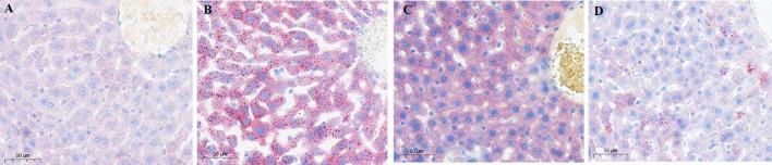 https://cdn.ncbi.nlm.nih.gov/pmc/blobs/a81c/12402901/c20710b4c96f/fmicb-16-1625211-g004.jpg