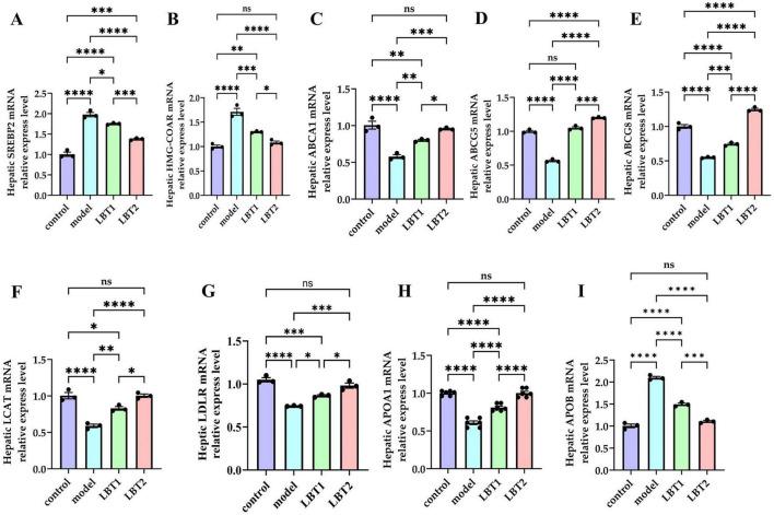 https://cdn.ncbi.nlm.nih.gov/pmc/blobs/a81c/12402901/edabe96ccd12/fmicb-16-1625211-g005.jpg