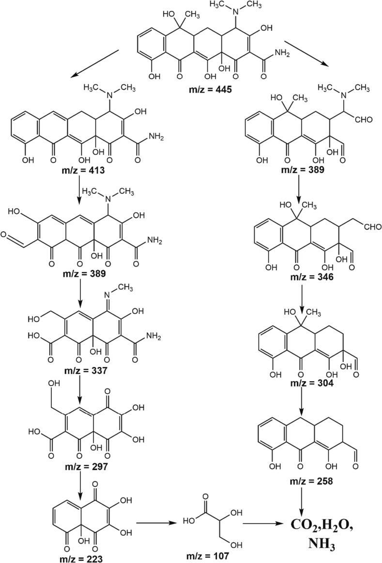 https://cdn.ncbi.nlm.nih.gov/pmc/blobs/a81f/10653955/85eee7c11889/gr9.jpg