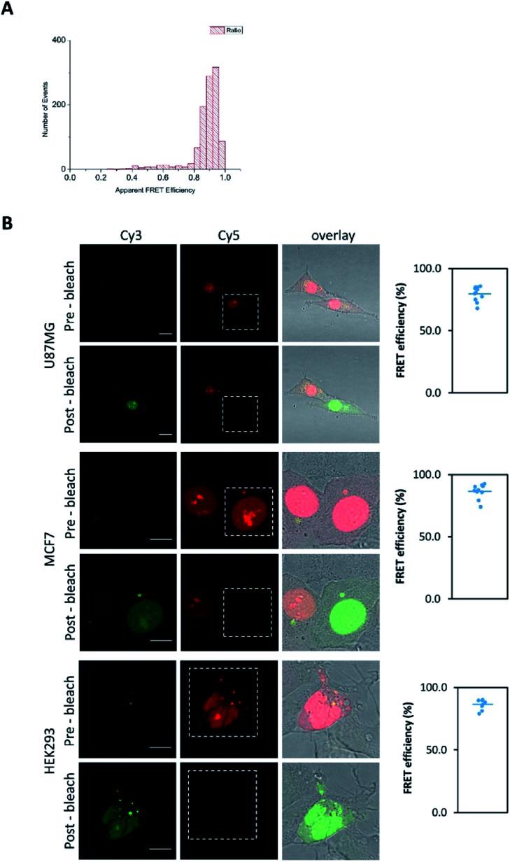 https://cdn.ncbi.nlm.nih.gov/pmc/blobs/a820/8159449/018180d95a0e/d0sc01613f-f3.jpg