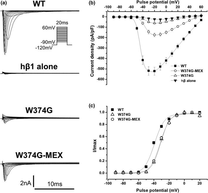 https://cdn.ncbi.nlm.nih.gov/pmc/blobs/a822/8164156/706145ffe0e7/ANEC-26-e12828-g001.jpg