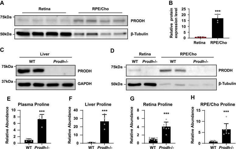 https://cdn.ncbi.nlm.nih.gov/pmc/blobs/a824/10616405/c513f7d94907/gr6.jpg