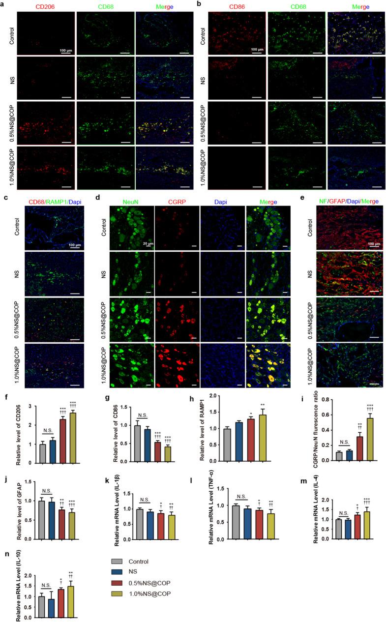 https://cdn.ncbi.nlm.nih.gov/pmc/blobs/a824/11225227/185351a1385e/12951_2024_2594_Fig7_HTML.jpg