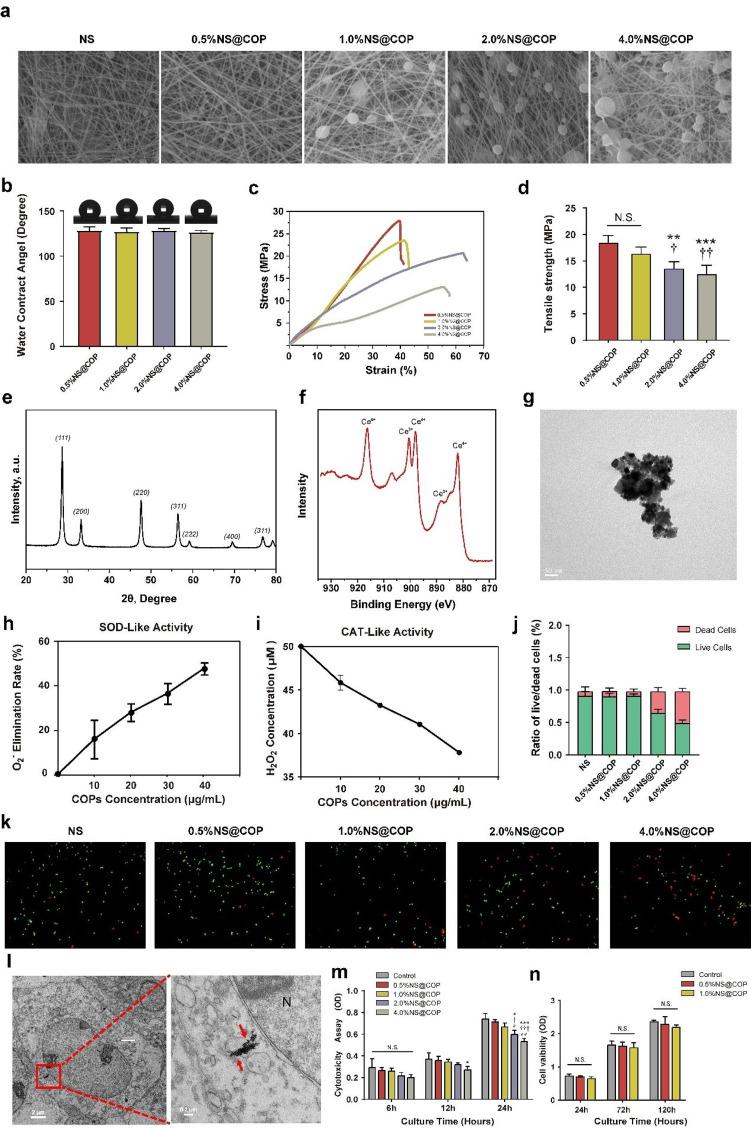 https://cdn.ncbi.nlm.nih.gov/pmc/blobs/a824/11225227/eb07d11b182d/12951_2024_2594_Fig2_HTML.jpg