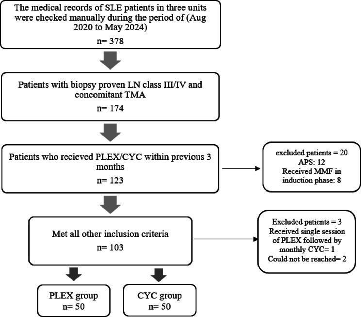 https://cdn.ncbi.nlm.nih.gov/pmc/blobs/a827/12076891/5a613b71d009/12882_2025_4154_Fig1_HTML.jpg