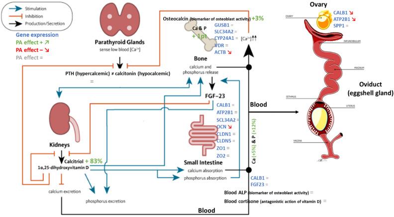 https://cdn.ncbi.nlm.nih.gov/pmc/blobs/a82a/11143341/ad0e7c08fd6f/41598_2024_62779_Fig5_HTML.jpg