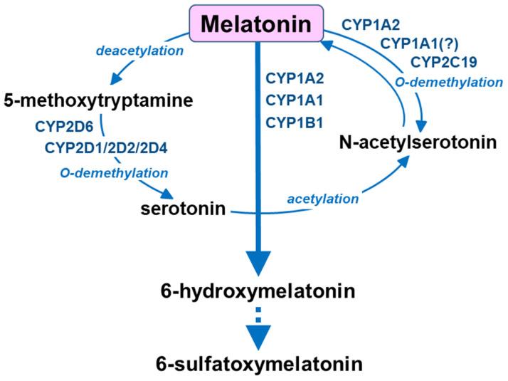 https://cdn.ncbi.nlm.nih.gov/pmc/blobs/a82b/10224044/0e49ae8ce51d/metabolites-13-00629-g003.jpg