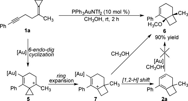 https://cdn.ncbi.nlm.nih.gov/pmc/blobs/a82b/3998771/c4e0c4f9ca7b/ol-2014-007955_0004.jpg