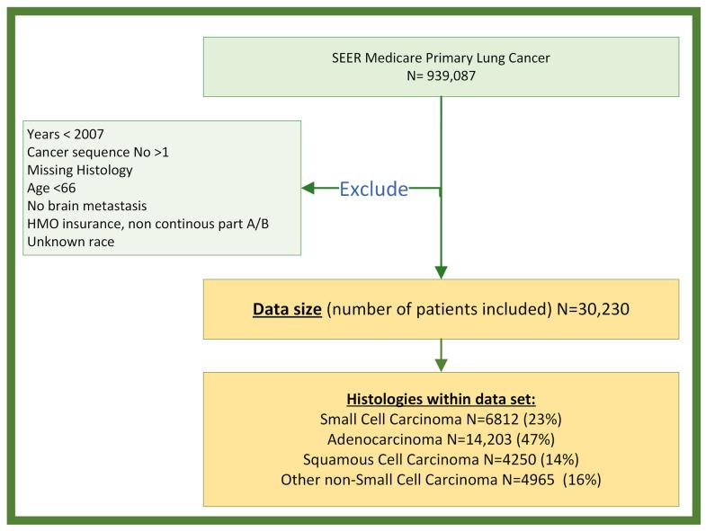 https://cdn.ncbi.nlm.nih.gov/pmc/blobs/a82e/11394199/aa9046963aeb/cancers-16-02986-g001.jpg