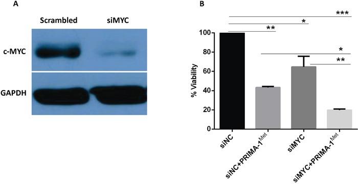 https://cdn.ncbi.nlm.nih.gov/pmc/blobs/a82e/4872775/22a54480944a/oncotarget-07-7149-g005.jpg