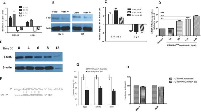 https://cdn.ncbi.nlm.nih.gov/pmc/blobs/a82e/4872775/e1f87eced87f/oncotarget-07-7149-g003.jpg