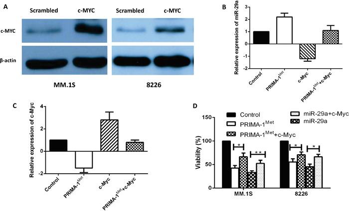 https://cdn.ncbi.nlm.nih.gov/pmc/blobs/a82e/4872775/f97127cfd5ae/oncotarget-07-7149-g004.jpg