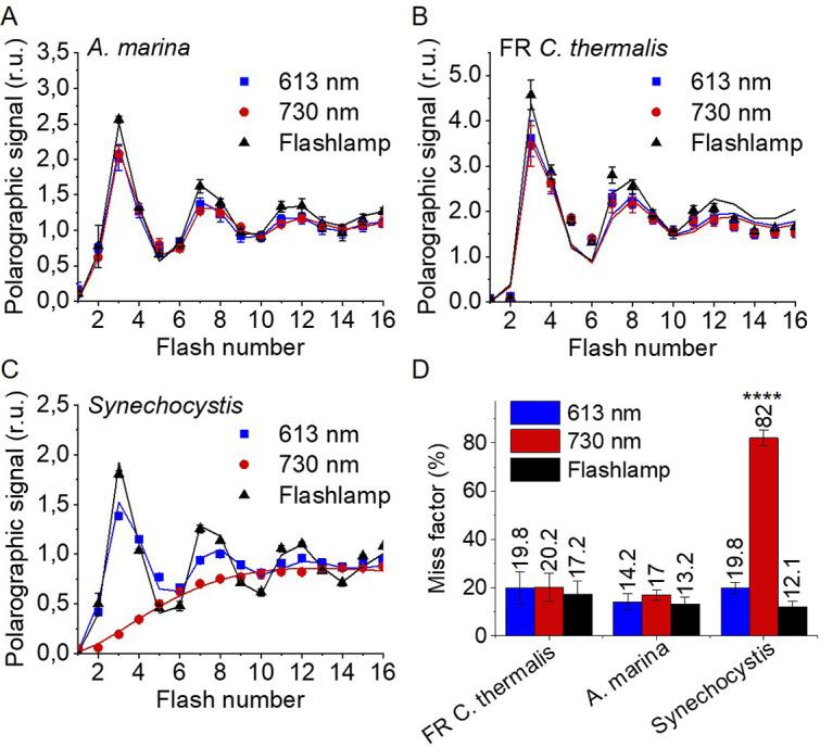 https://cdn.ncbi.nlm.nih.gov/pmc/blobs/a82e/9439682/0c53847cb30f/elife-79890-fig3.jpg