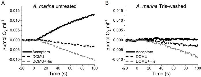 https://cdn.ncbi.nlm.nih.gov/pmc/blobs/a82e/9439682/a79503246e3d/elife-79890-app6-fig2.jpg