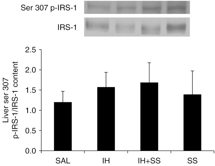 https://cdn.ncbi.nlm.nih.gov/pmc/blobs/a82f/3601809/5da9d82b2825/JOE120214f06.jpg