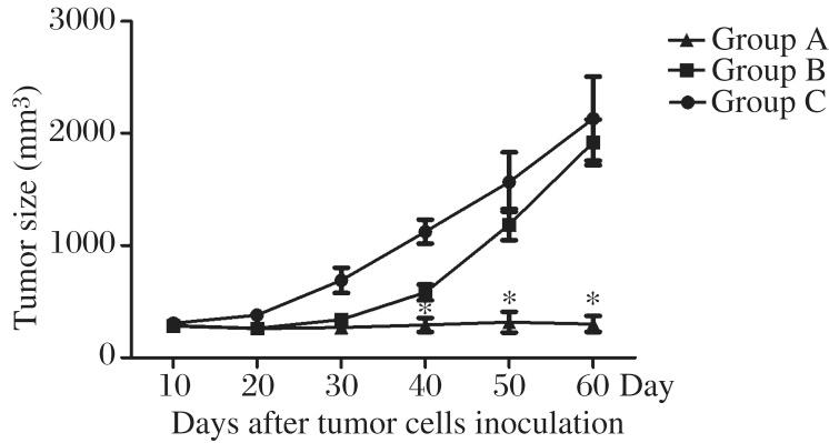 https://cdn.ncbi.nlm.nih.gov/pmc/blobs/a830/4250525/da8db667e0f0/jbr-28-06-468-g004.jpg