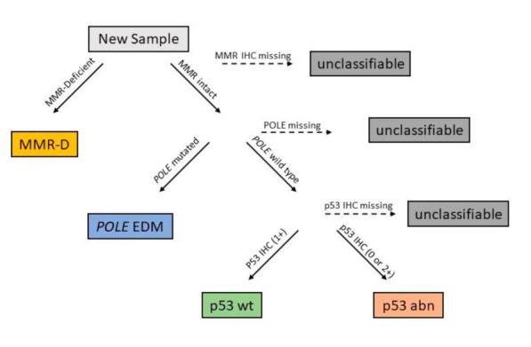https://cdn.ncbi.nlm.nih.gov/pmc/blobs/a831/8005218/cdafffbdc750/cancers-13-01478-g001.jpg