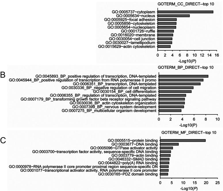 https://cdn.ncbi.nlm.nih.gov/pmc/blobs/a833/10267586/4c409a4c0a12/jrd-69-154-g002.jpg