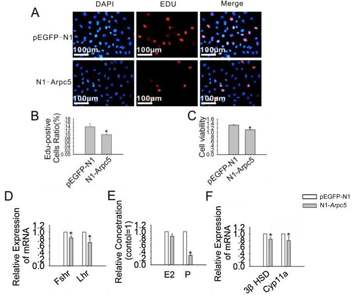 https://cdn.ncbi.nlm.nih.gov/pmc/blobs/a833/10267586/fd309347bc9b/jrd-69-154-g006.jpg