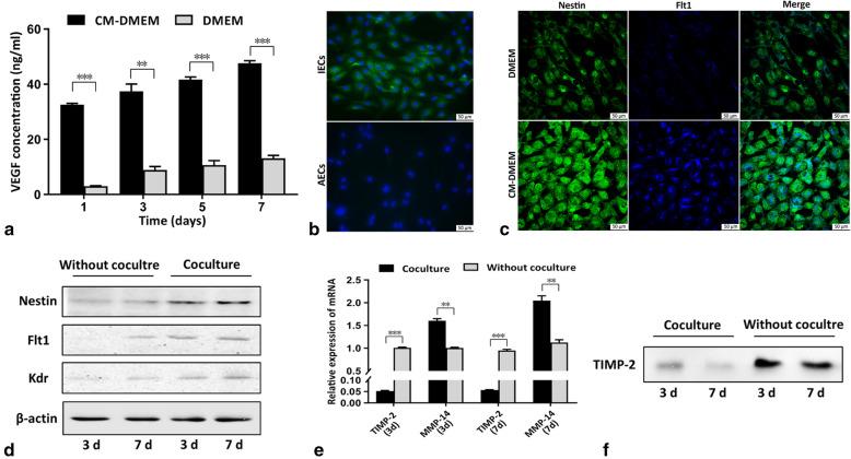 https://cdn.ncbi.nlm.nih.gov/pmc/blobs/a833/8261922/690d57c278dc/13287_2021_2433_Fig3_HTML.jpg