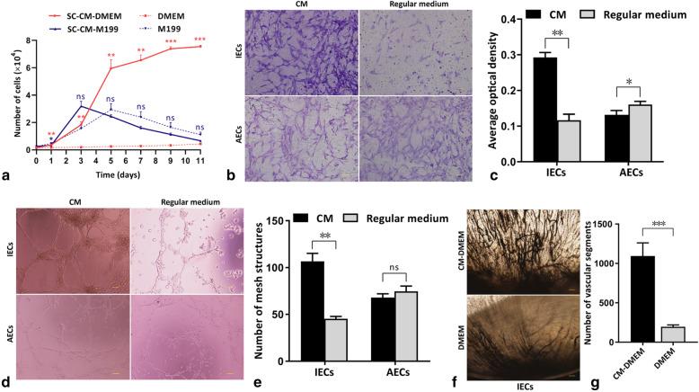 https://cdn.ncbi.nlm.nih.gov/pmc/blobs/a833/8261922/bb0bcf6796d9/13287_2021_2433_Fig2_HTML.jpg
