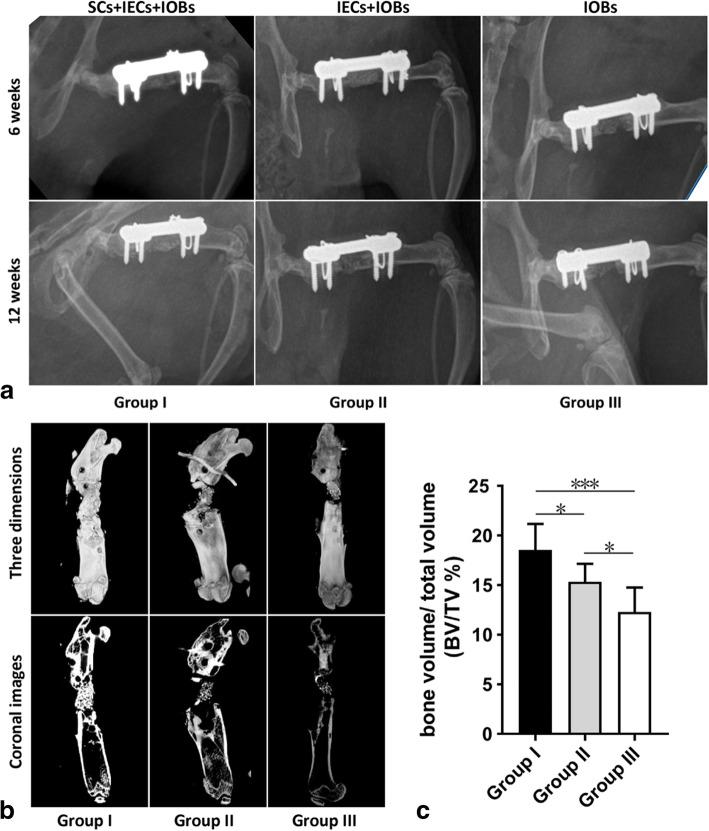 https://cdn.ncbi.nlm.nih.gov/pmc/blobs/a833/8261922/d34d8ec4e161/13287_2021_2433_Fig5_HTML.jpg