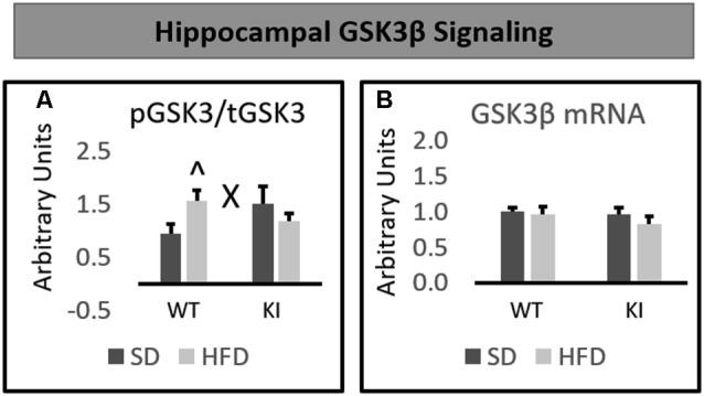 https://cdn.ncbi.nlm.nih.gov/pmc/blobs/a837/6917648/a2a27e4d4439/fnmol-12-00298-g0004.jpg