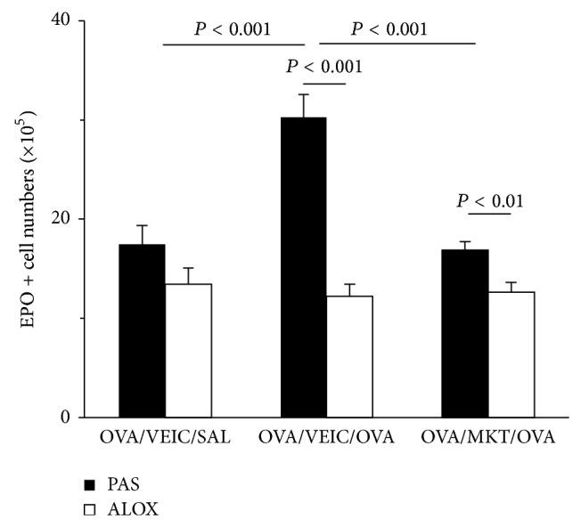 https://cdn.ncbi.nlm.nih.gov/pmc/blobs/a839/4244945/b656bbfae53b/MI2014-403970.006.jpg