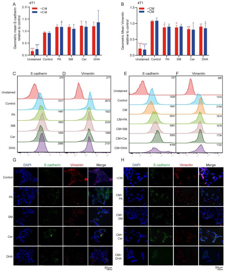 https://cdn.ncbi.nlm.nih.gov/pmc/blobs/a83a/9024985/769de2063497/ijms-23-04240-g005.jpg
