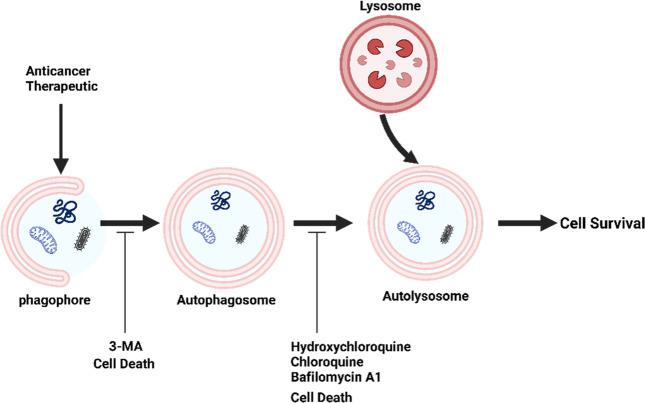 https://cdn.ncbi.nlm.nih.gov/pmc/blobs/a83b/11223161/39f52877601b/ao4c02234_0003.jpg